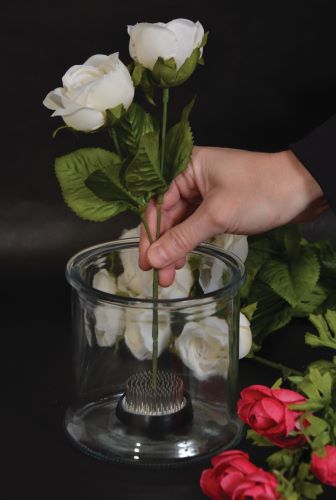 by_floral-frog-metal-stem